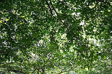 《审判之逝：湮灭的记忆》备受瞩目的游戏开场动画现已公开！