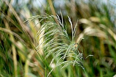 2023年4月欧洲主机市场销量估测 PS5畅销傲视群雄